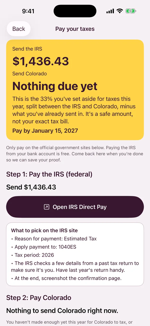Pay your taxes screen with the amount to send the IRS and step-by-step instructions